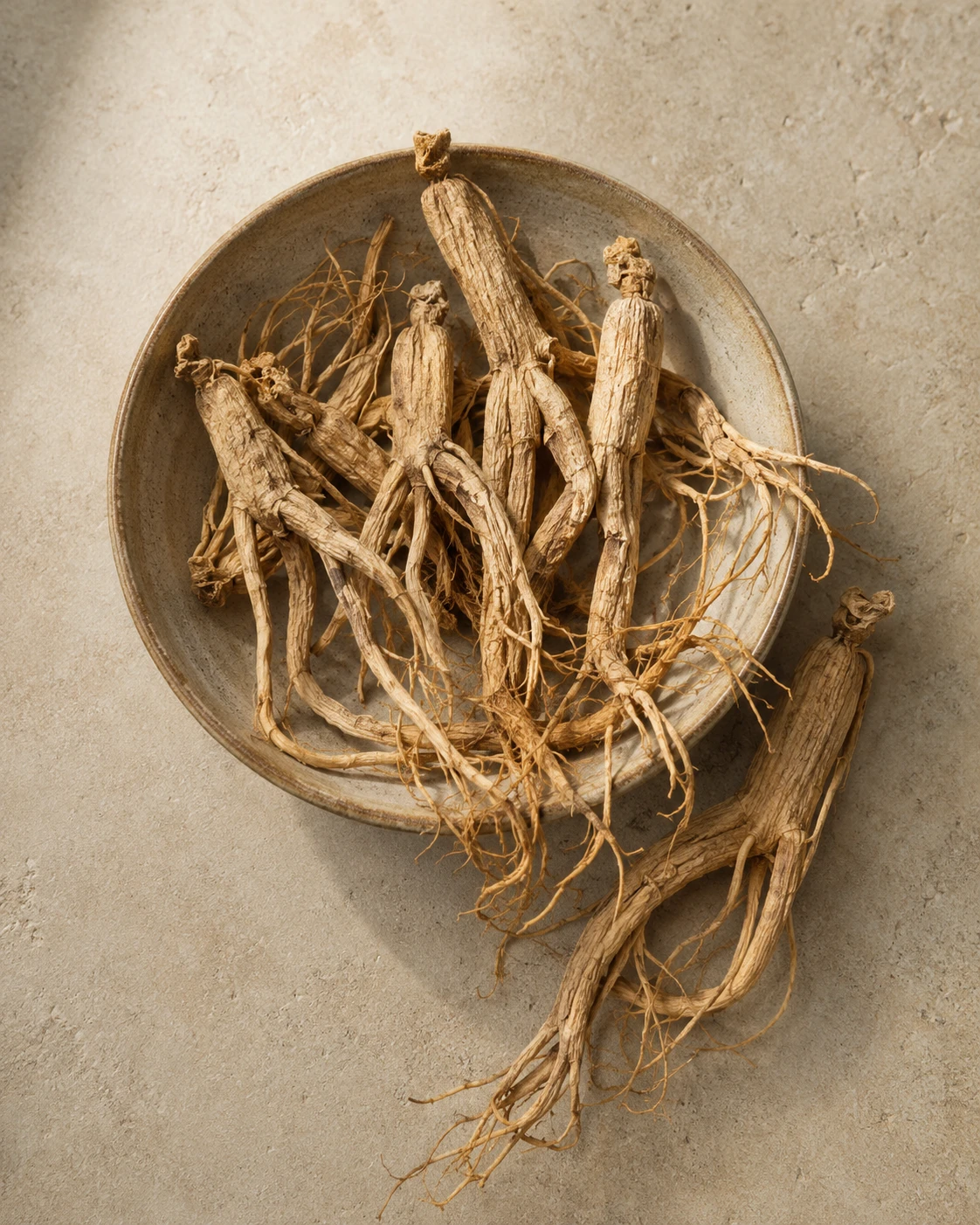 Ginseng