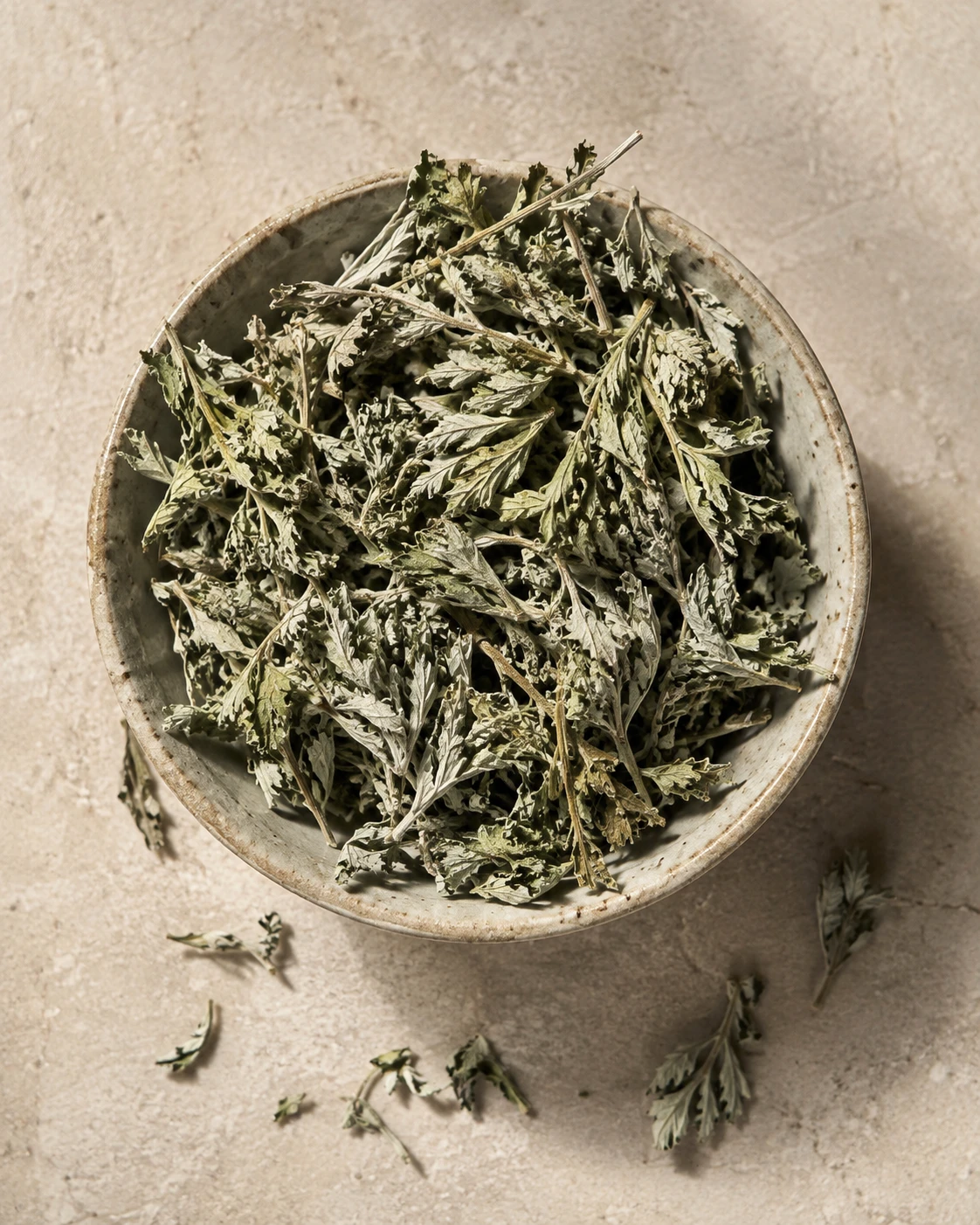 Artemisia