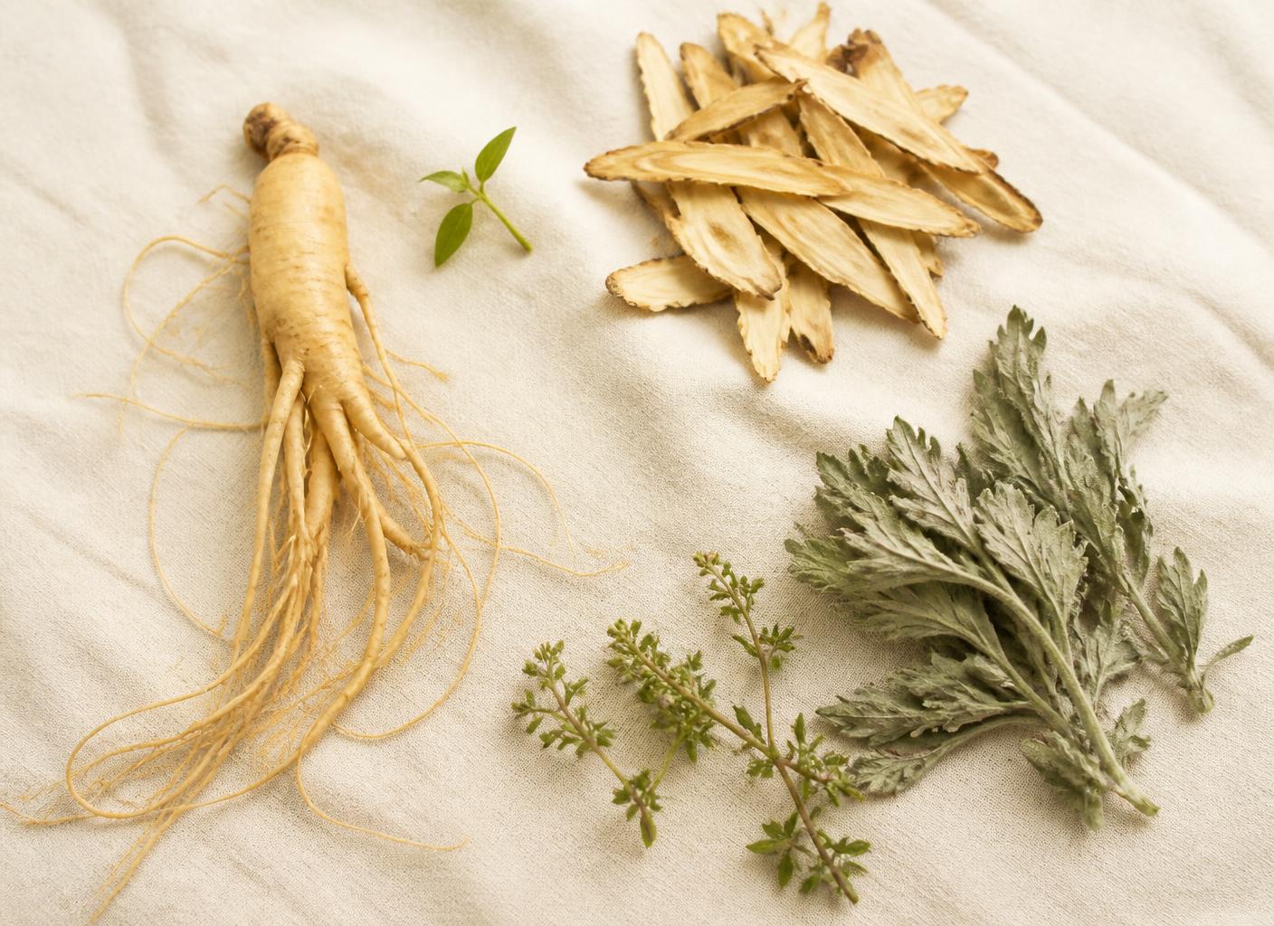 Fresh ginseng root and dried herbs arranged on cream linen